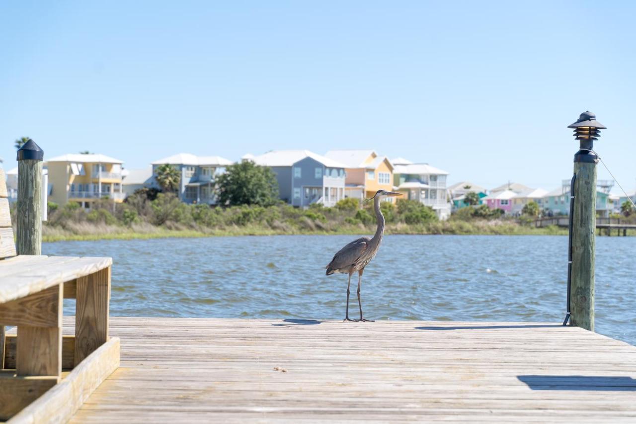 Appartement Compass Point 310 à Gulf Shores Extérieur photo